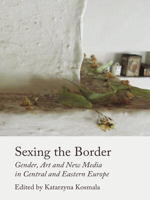 cover image of Sexing the Border